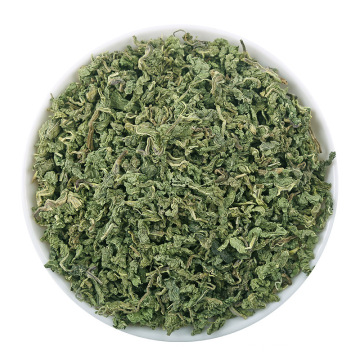 New Flavor Wholesale Best Selling Pepper Mint Green TeaH